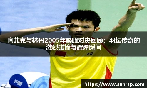 陶菲克与林丹2005年巅峰对决回顾：羽坛传奇的激烈碰撞与辉煌瞬间